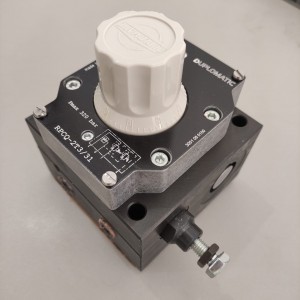 DUPLOMATIC RPCQ-2T3/31